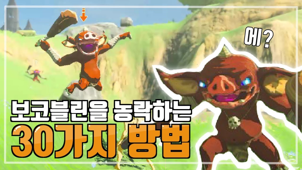 보코블린을 농락하는 30가지 방법 [젤다 야숨]