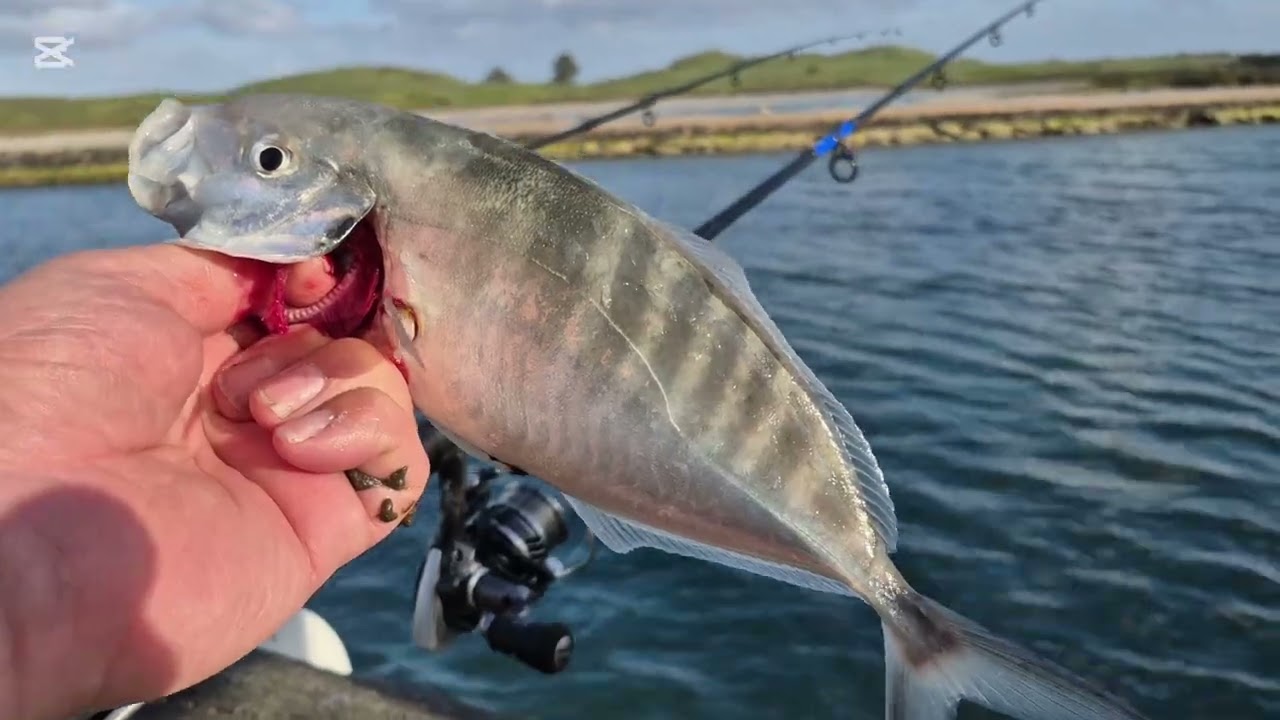 'Port Fairy' Jetty Fishing 🎣 The 'Moyne River' Estuary For A Few Silver Trevally.