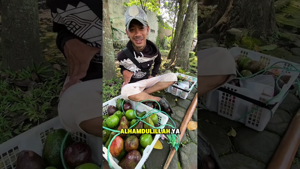 Tes kebaikan penjual buah alpukat 