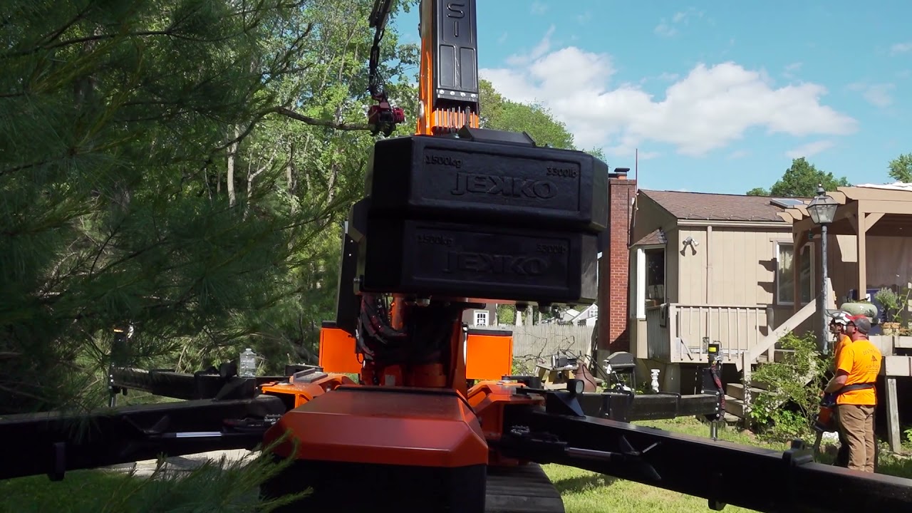 Fascan International Arbor Expo 21