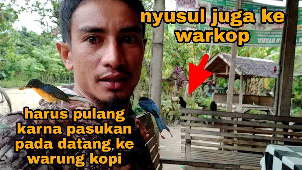 burung-burung ini selalu ngikutin kemana pun saya pergi