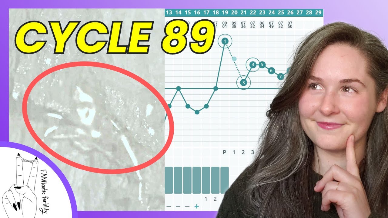 Charting for 90 Cycles with Symptothermal Fertility Awareness Method | Read Your Body app