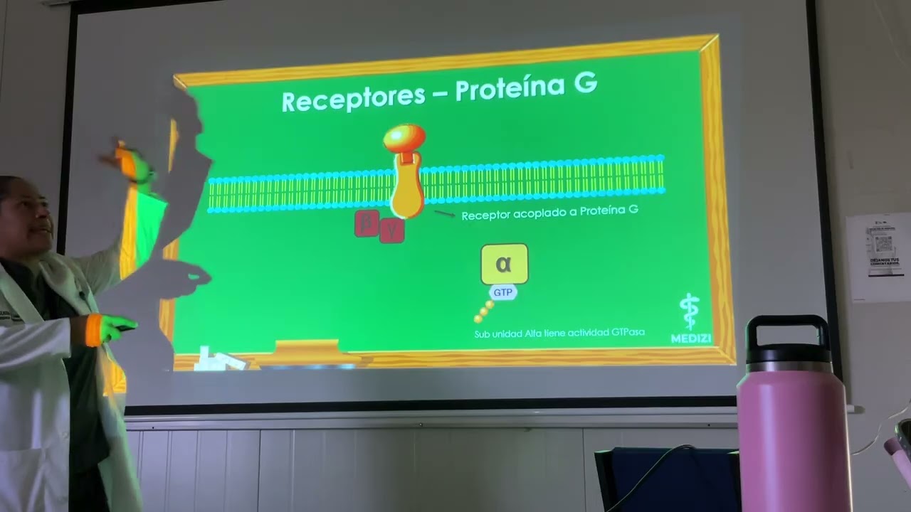 Endocrinología. Clase 4 (Receptores)