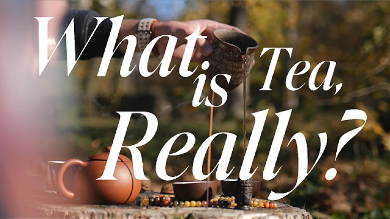 What is Tea, Really?