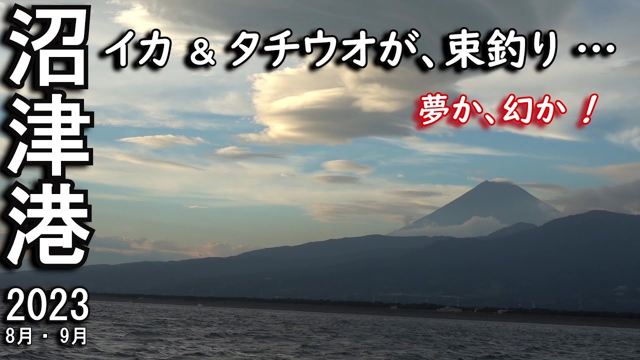 沼津港イカ＆タチウオ釣り…港から約15分。マルイカ（ケンサキイカ）とタチウオが、同じ場所で釣れる。しかもイカ80杯、タチウオ50匹以上！そんな釣果情報を見て釣り友と2週連続で釣りに…果たして釣果は？