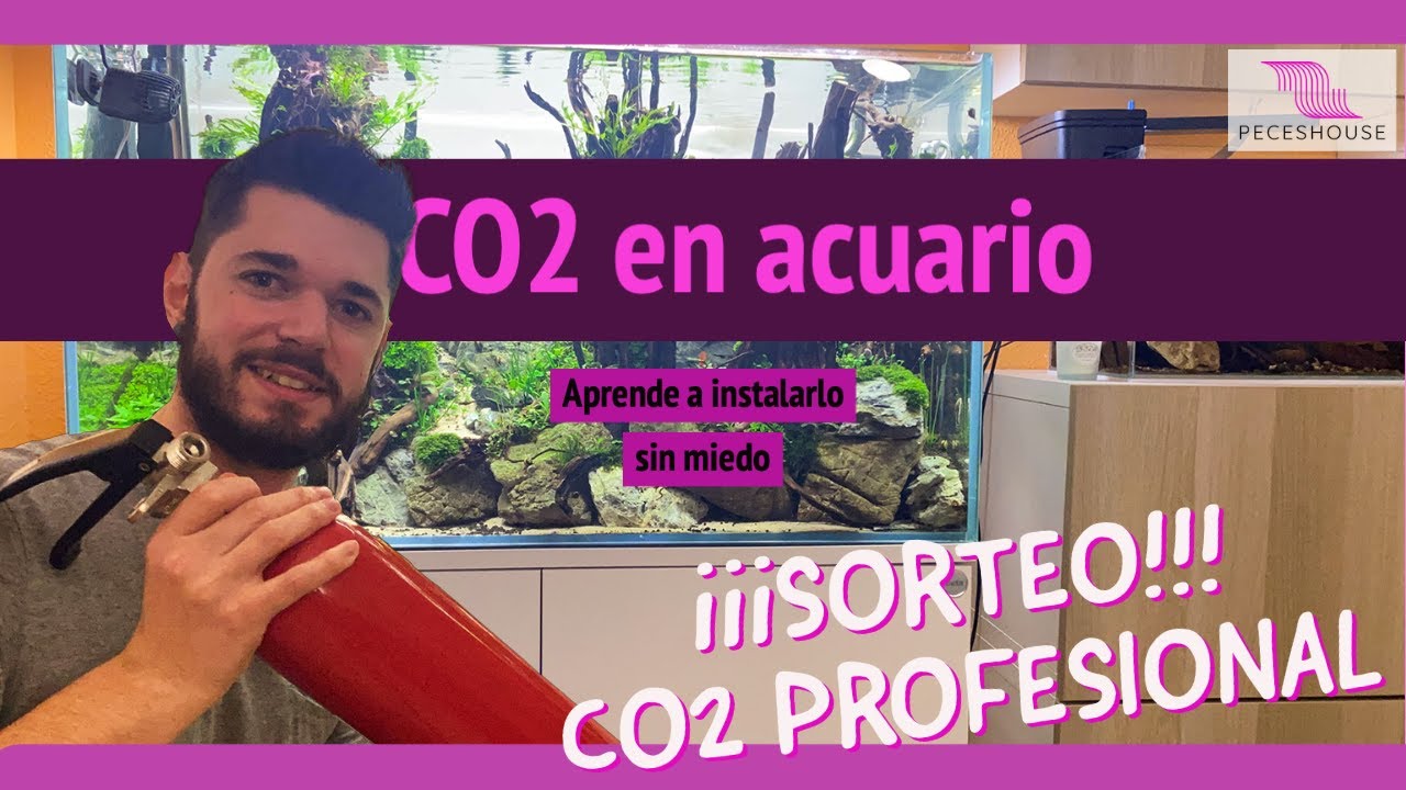 CÓMO INSTALAR CO2 EN ACUARIO - SORTEO CO2 PROFESIONAL