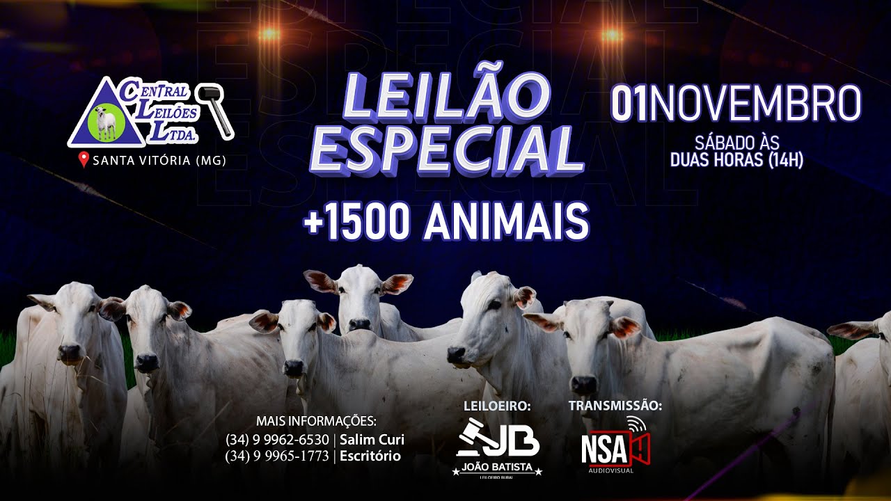 🌾  Leil&atilde;o Especial Carga Fechada  - Central Leil&otilde;es - Santa Vit&oacute;ria (MG) - 01 de NOVEMBRO