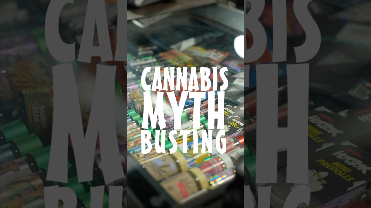 Cannabis Myth Busting