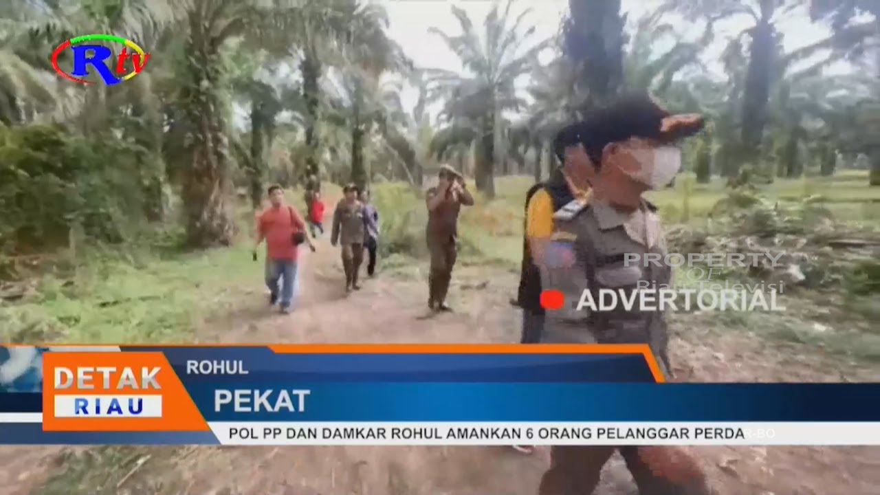 POL PP DAN DAMKAR ROHUL AMANKAN 6 ORANG PELANGGAR PERDA