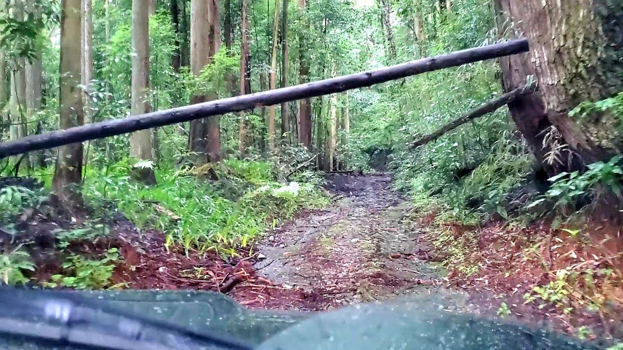 ジムニーで和留沢林道と明星林道の途中にアクセスする道を走る！1.2倍速【車載動画】