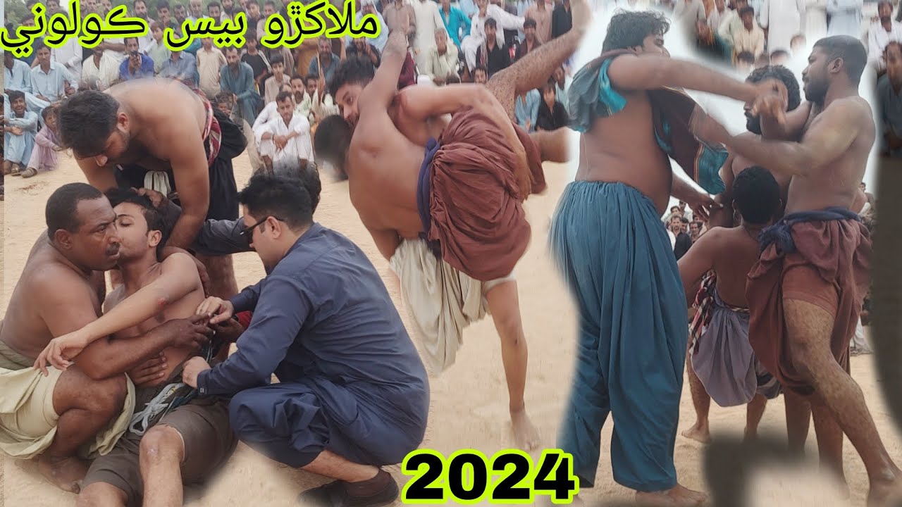 malakhro Bhains Colony Karachi August 10, 2024 video164.malakhro Pahalwan #sindhi Karachi#malakhro