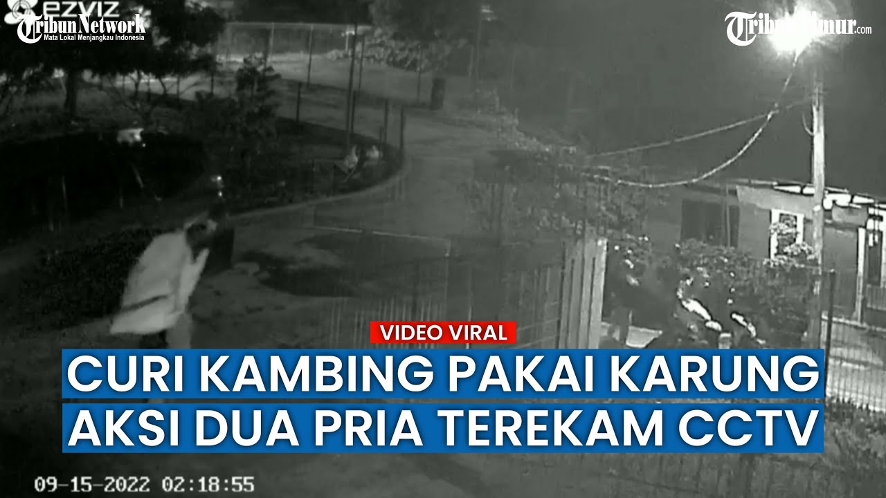 Aksi Komplotan Maling Curi Kambing Warga Tangerang Pakai Karung