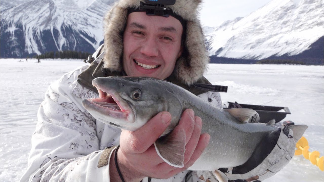 A Bull Trout Rodeo - Upper Kananaskis Lake Ice Fishing