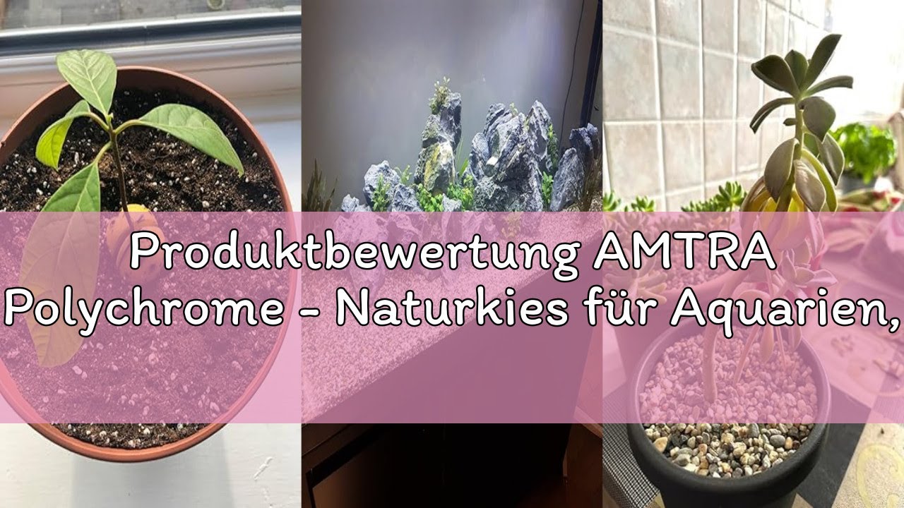 Produktbewertung AMTRA Polychrome - Naturkies für Aquarien, Dekoboden, Sand und Weißkies, Körnung 3-