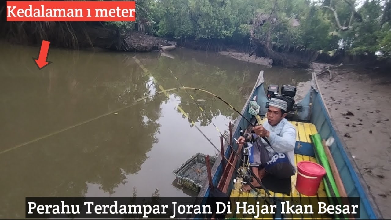 Tak Di Duga!! Air Sedangkal Ini Di Huni Ikan Predator Ganas.#mancingmalam
