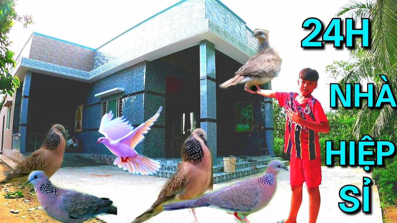 24h Rì wiu Cấm Trại Sinh Tồn Ở Nhà Hiệp Sỉ