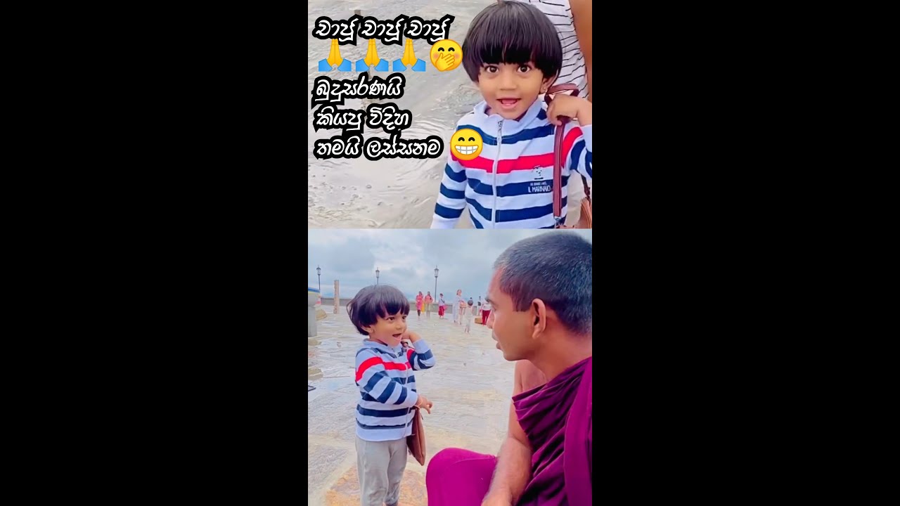 පුංචි හුරතලය 😁 චාජූ චාජූ චාජූ 🙏🙏🙏🤭බුදුසරණයි කියපු විදිහ තමයි ලස්සනම 😁#sandagiriseya