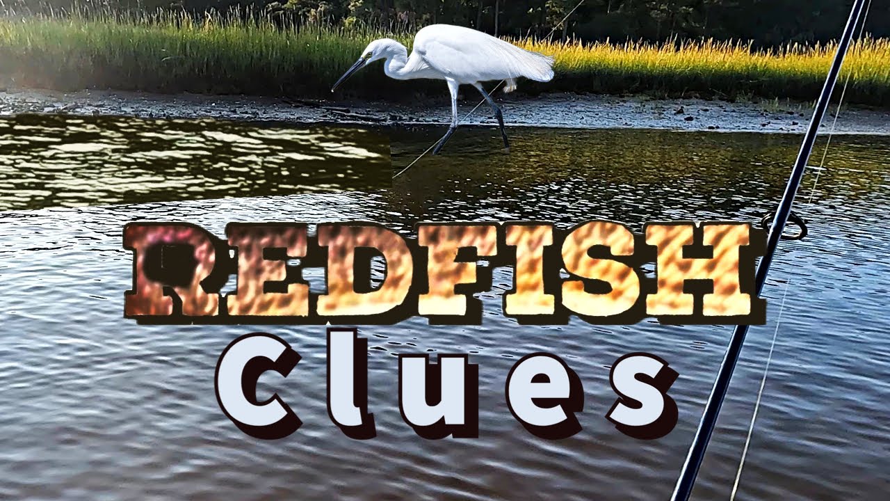 How to find redfish: kayak fishing in Charleston SC