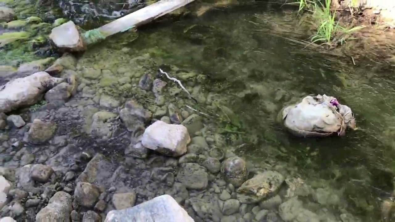 Countryside Stream in Episkopi CYPRUS
