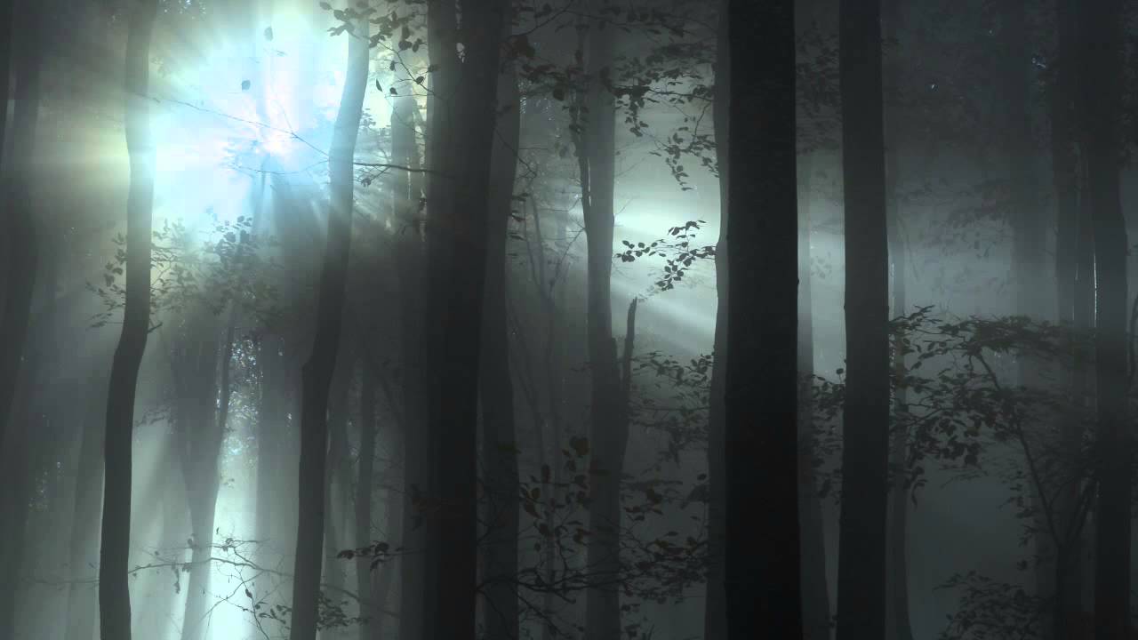 Donkey Kong 2 - Forest Interlude (ReMake)