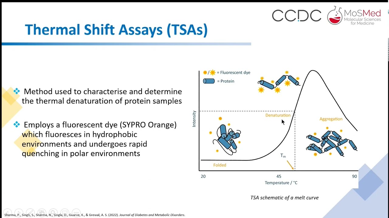From fragment-screening to fragment-growing - new strategies for drug discovery.