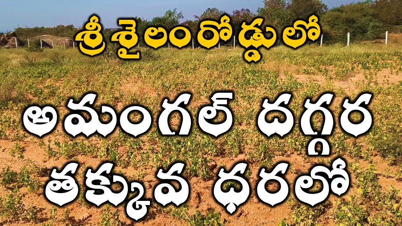 అమంగల్ దగ్గర 5 Secrets Successful FARMERS Use Daily in Telangana Agriculture Lands