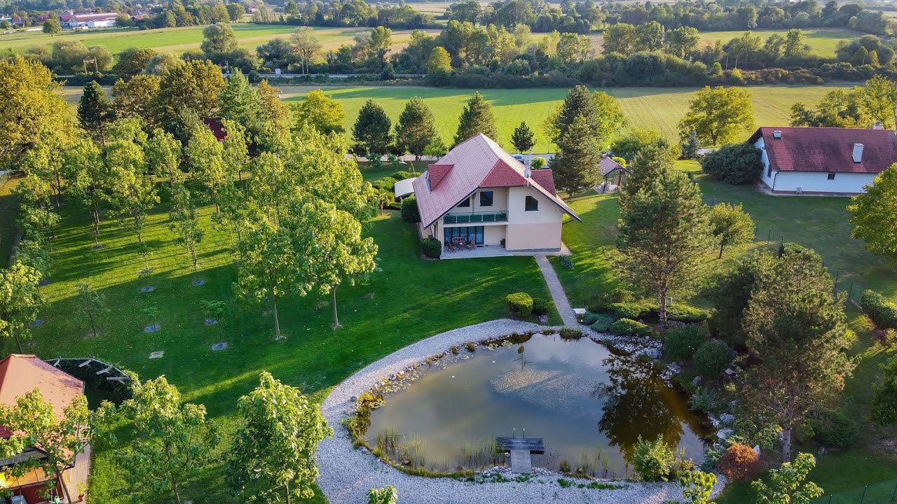 Large estate in Brežice