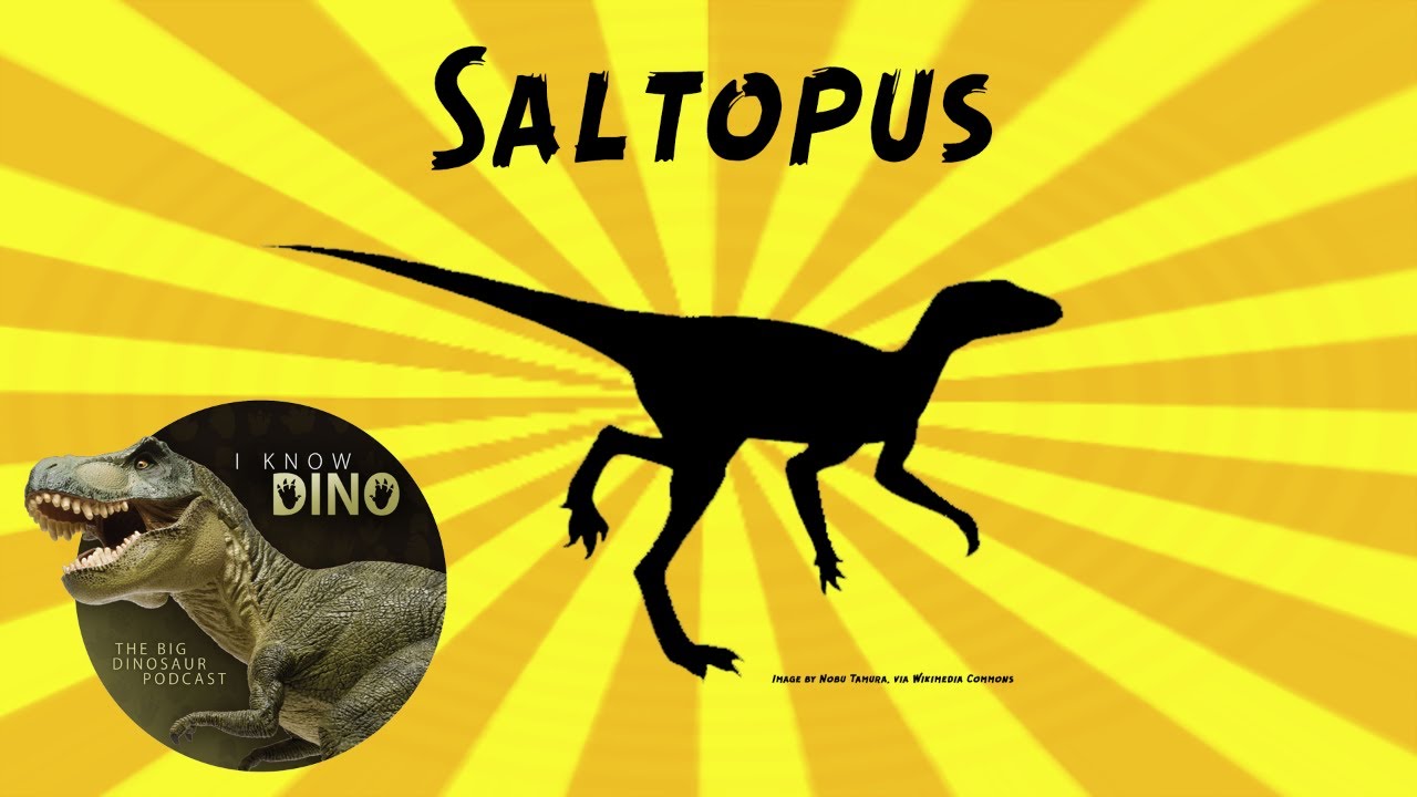 Saltopus: Dinosaur of the Day