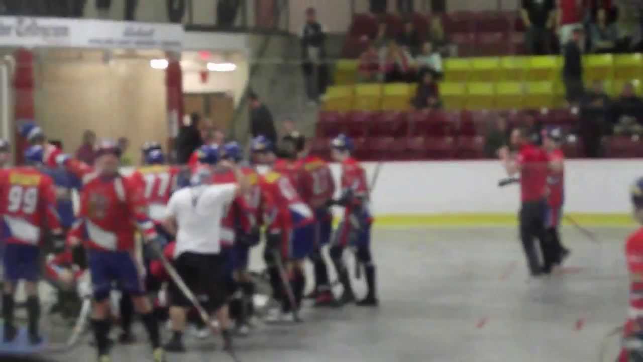 FIGHT - Ball Hockey World Championship | Canada vs Czech Republic | 2013