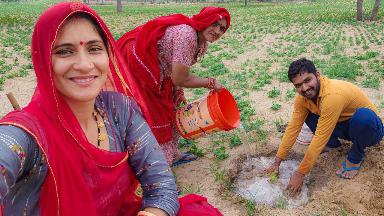 my village tree plantation || मेरे गांव में पेड़ लगाते हुए #Women #tree