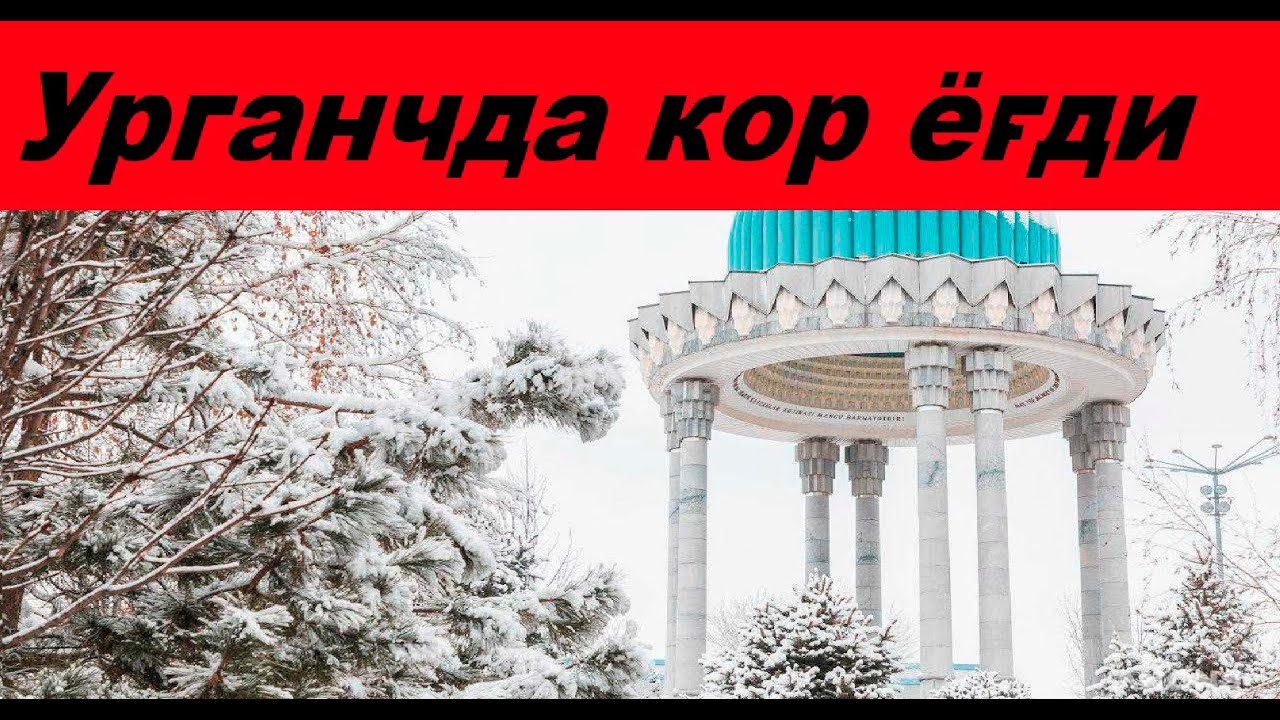 Урганчда кор ёгди  В городе Ургенч выпал снег