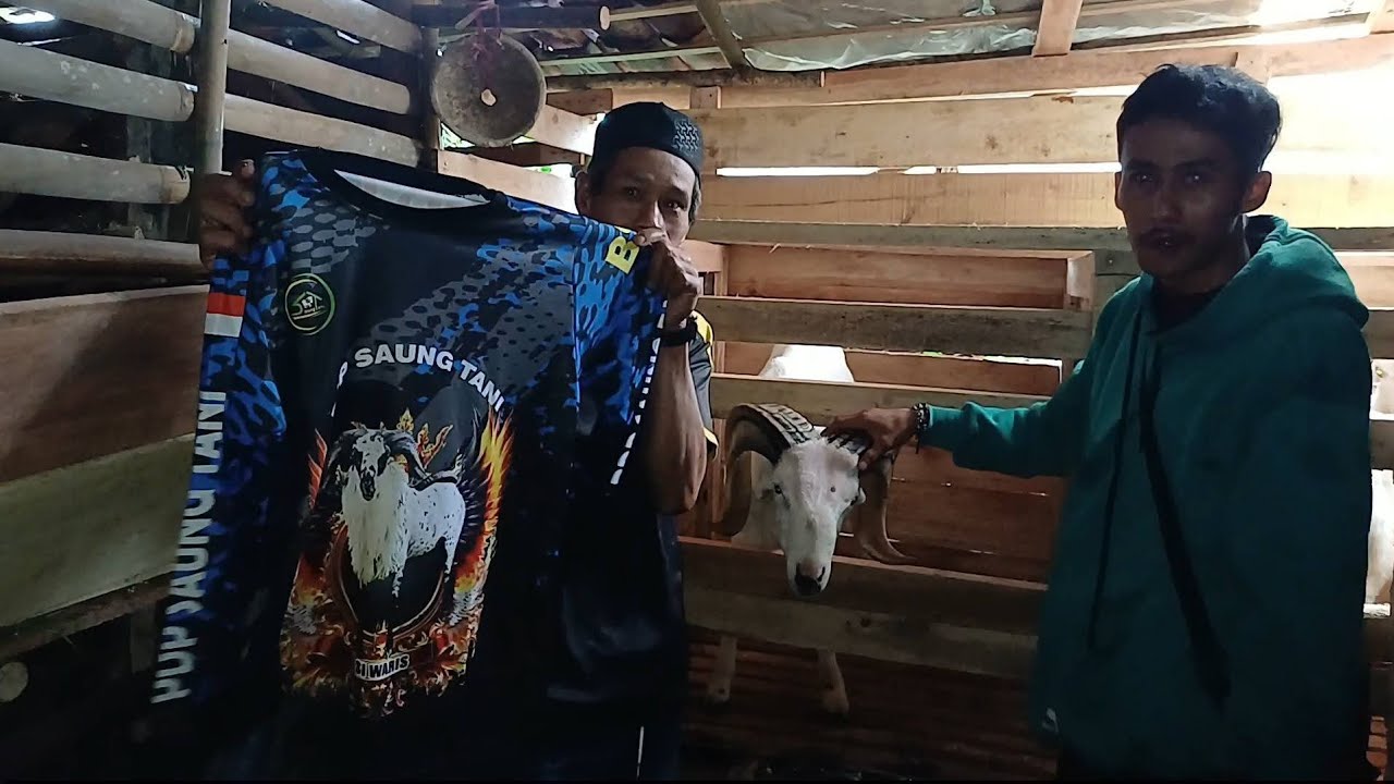 PENGIRIMAN PAKET BREEDING DOGAR KE GEKBRONG CIANJUR