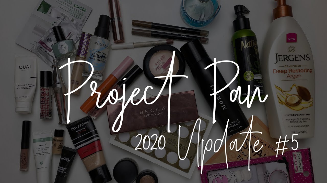 Project Pan 2020 - Update 5 #TeamProjectPan2020