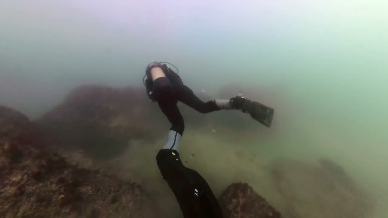 TYULENOVO SCUBA DIVING - how it is underwater in the Black Sea...