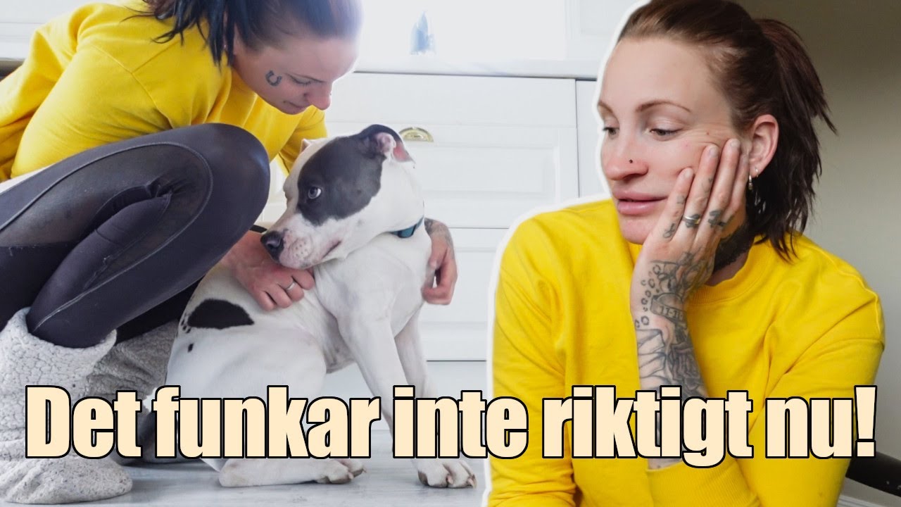 Jag m&aring;ste dra ner p&aring; det!! || Pontus FYLLER &Aring;R!! || VLOGG