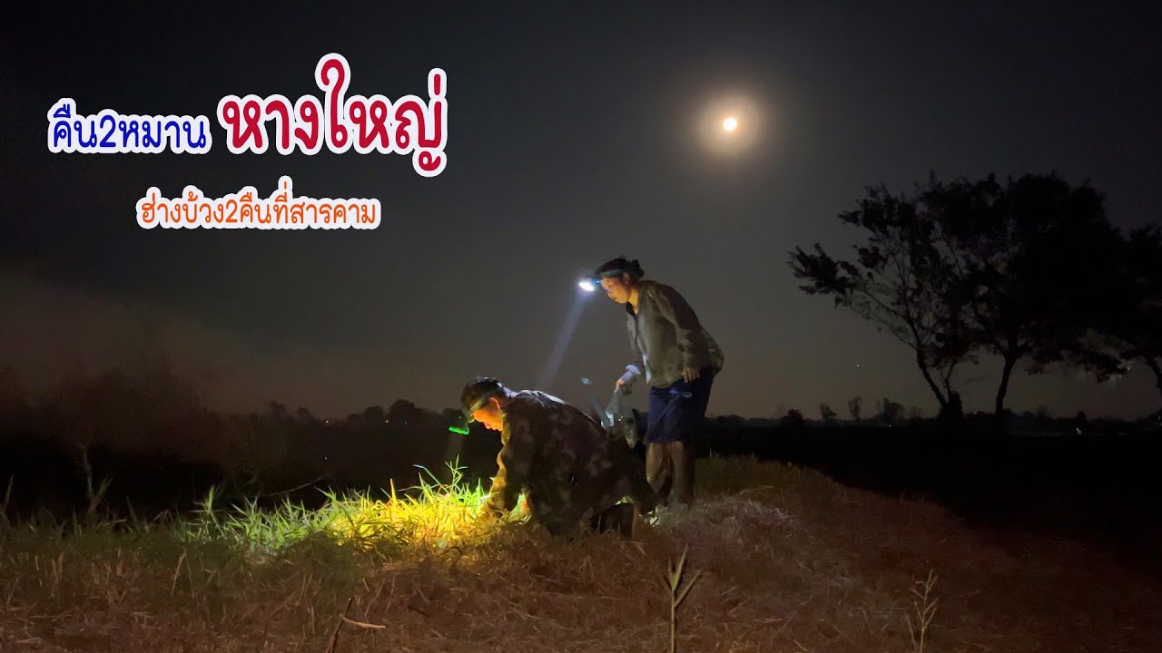 EP2 ฮ่างบ้วง 2 คืนที่มหาสารคามหมายหางใหญ่ คืนเดือนหงาย