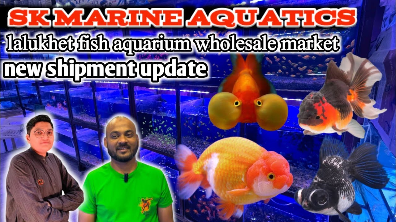 fish aquarium lalukhet || s k marine aquatics lalukhet wholesale price Karachi Pakistan 🐟🐠🦐🐢