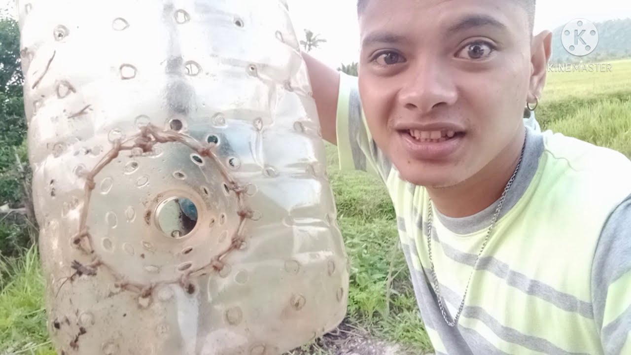 🦐 shrimp trap. paano manghuli ng hipon gamit ang galon.