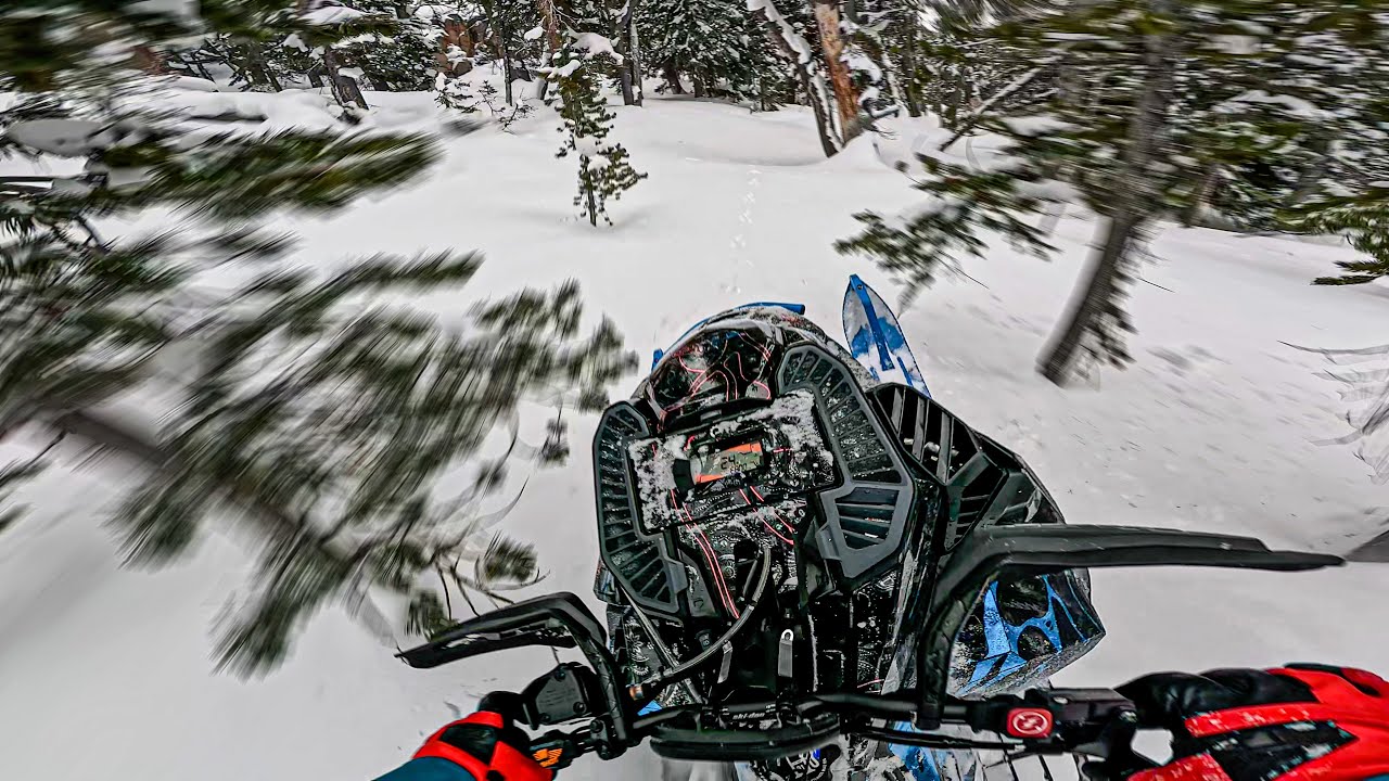 You've NEVER Heard a Sled Like THIS ˢᵏᶦᵈᵒᵒ