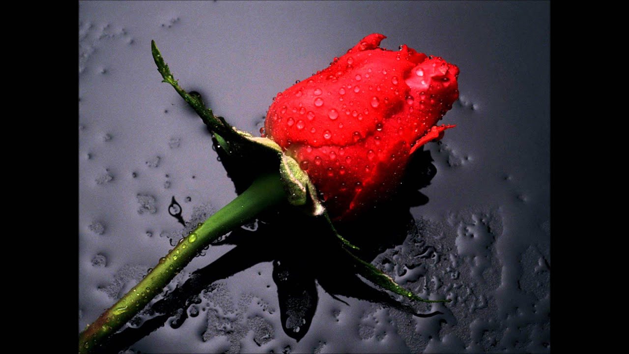 Immediate Music - Serenata Immortale (My Extended Version) HD