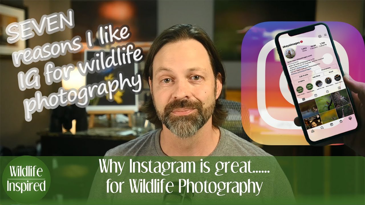 Почему Instagram отлично подходит для фотосъемки дикой природы (часть 1/3)