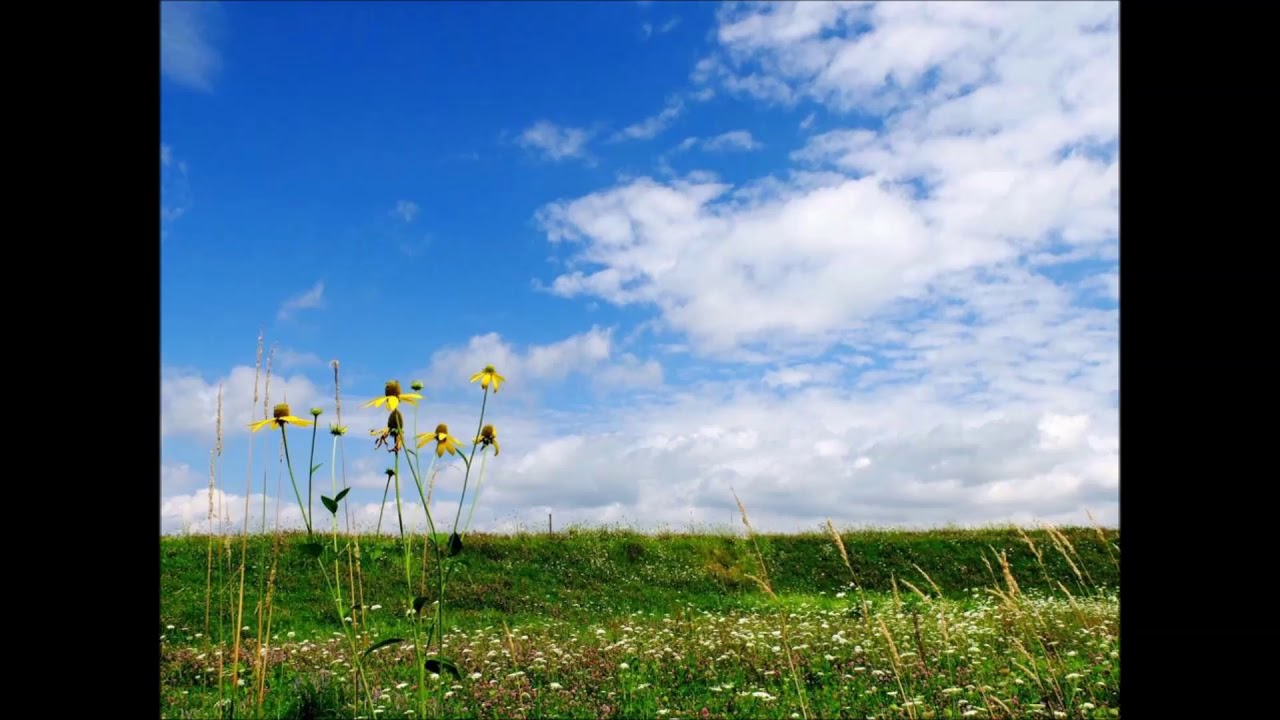 庭の千草／ダークダックス