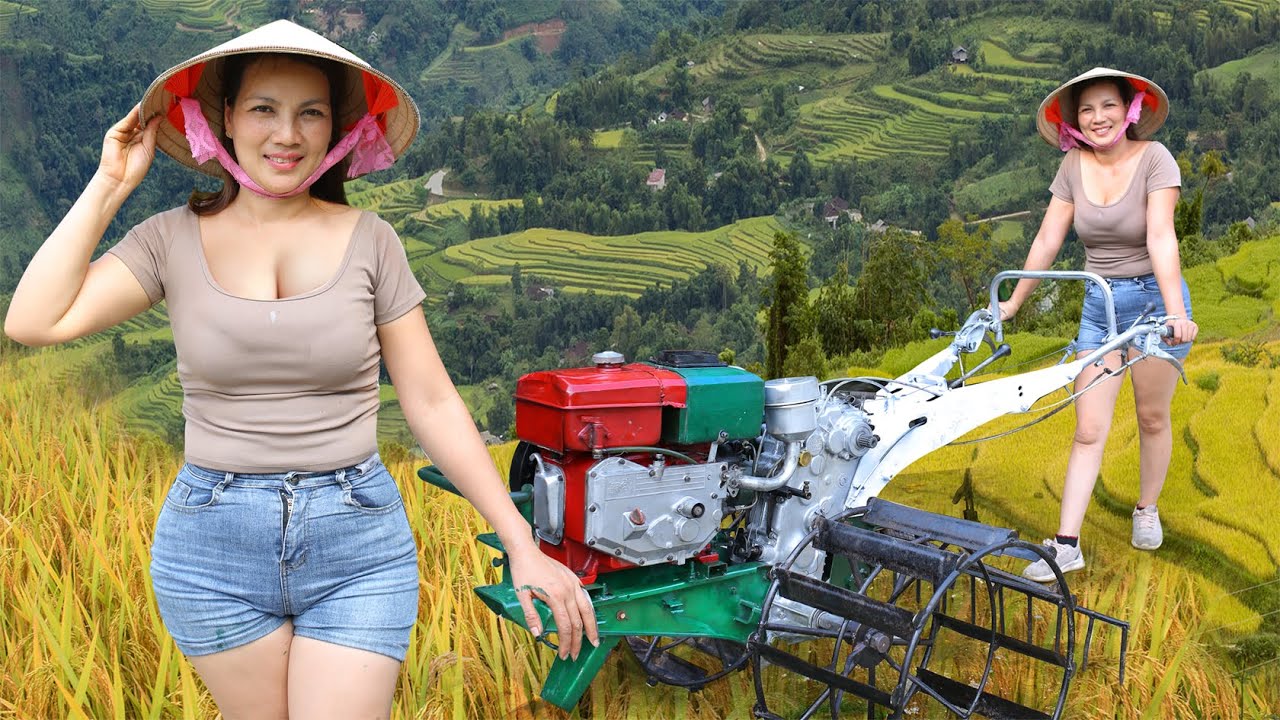 Challenge the genius girl to repaint and perfect the agricultural scissors for the lonely old lady