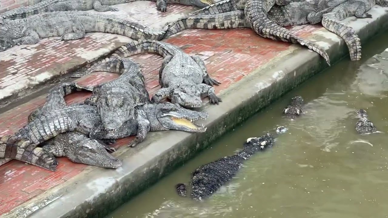 When you&rsquo;re full but don&rsquo;t want to leave the buffet🥴😱