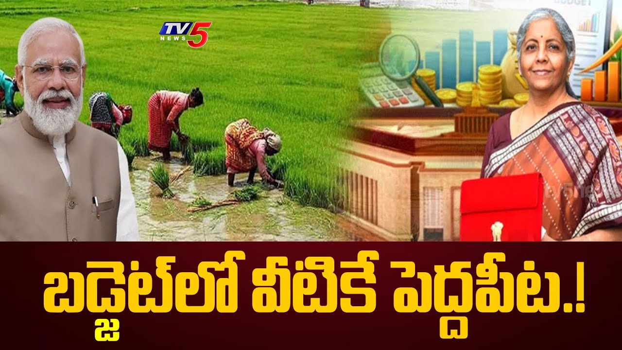 బడ్జెట్ లో వాటికే పెద్దపీట.! Union Badget 2026-2027 | Nirmala Sitharaman | TV5 NEWS