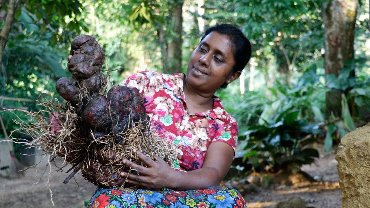 I make delicious food for children from purple yams from my garden  .village kitchen recipe