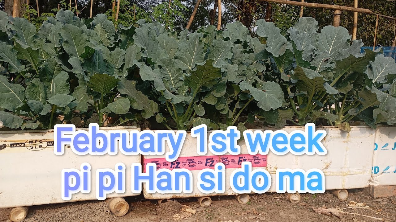 Organic vegetables available in February 