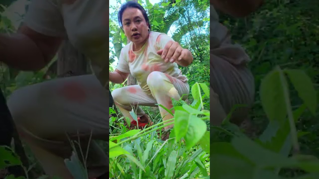 RAMBUTAN Goal.. #viral #nature #youtube #fypシ #fypage #viralvideo #ytshorts #youtubeshorts ##fypシ゚ 
