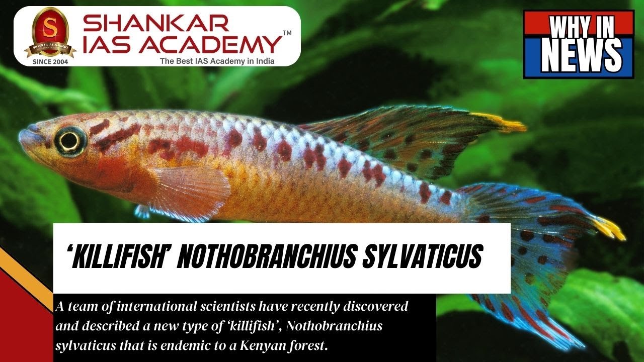 New Killifish Discovered: Nothobranchius Sylvaticus | Shankar IAS Academy| UPSC current Affairs |