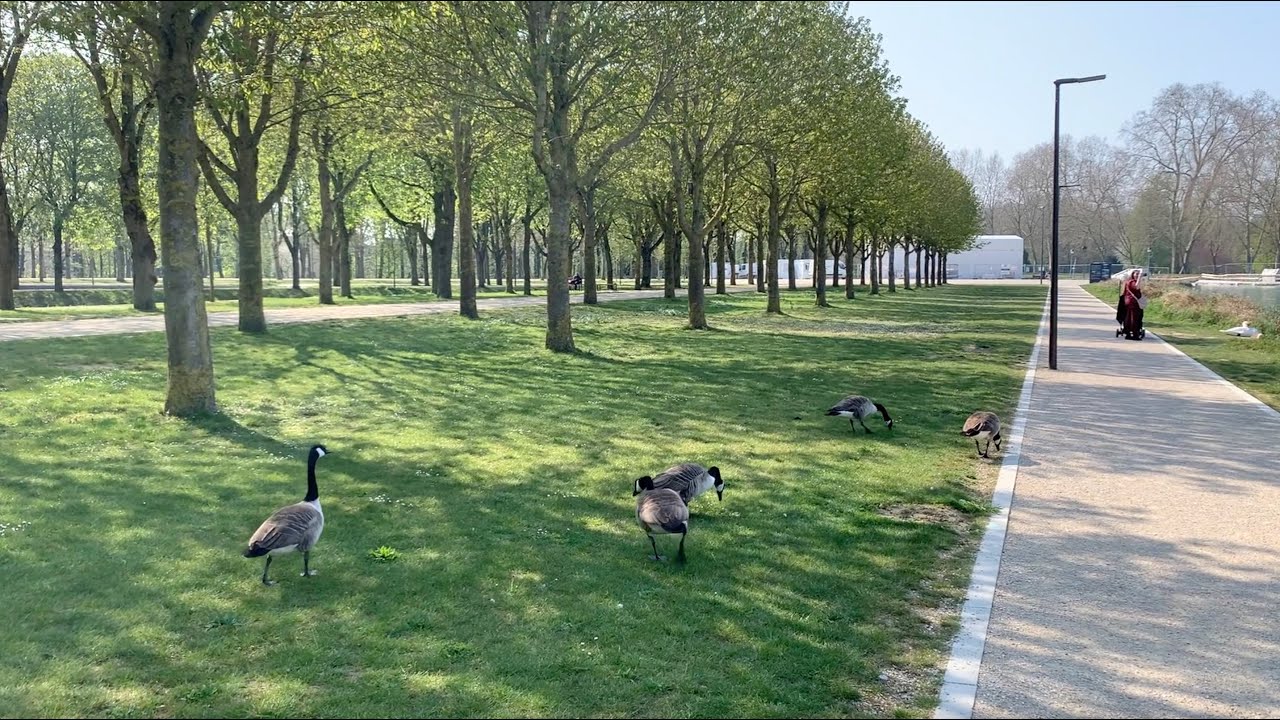 A visit to Châlons-en-Champagne in April 2021